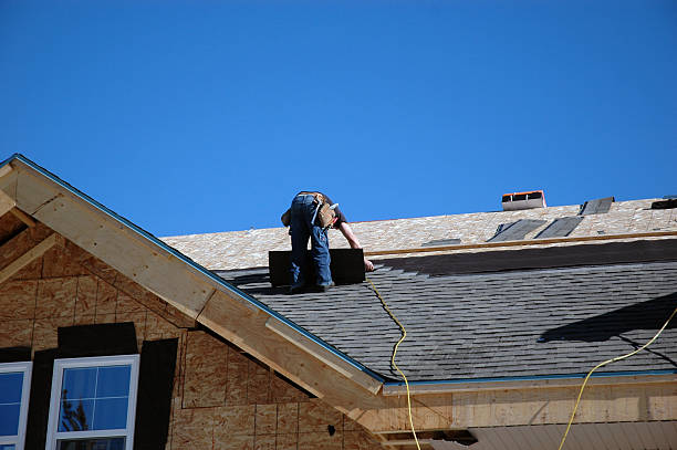 Best Storm Damage Roof Repair  in Rio Hondo, TX